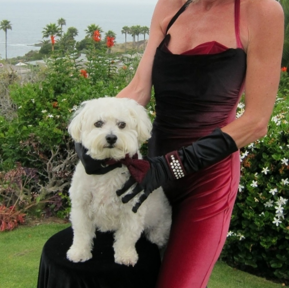 VINTAGE CASADEI DRESS - Picture 4 of 6
